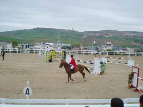 Constantine - Centre hippique: Concours national d’équitation