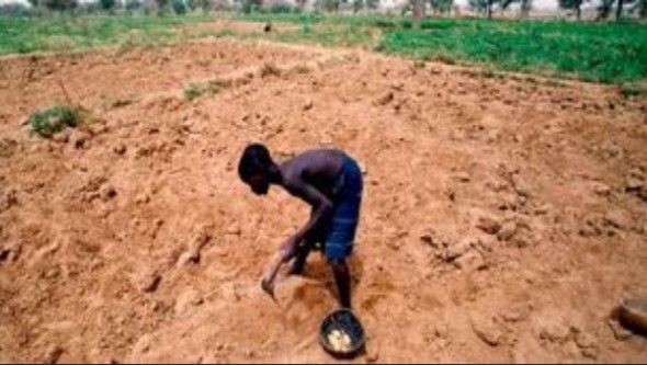 Planète - Changements climatiques: 20% des Africains seront menacés de faim d'ici 2050 (expert)