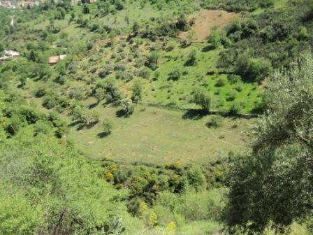 La nature  au printemps
