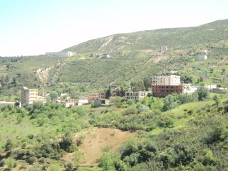 La nature  au printemps