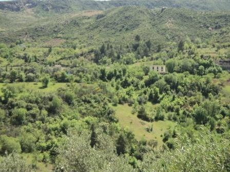 La nature  au printemps