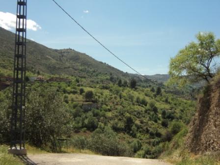 La nature  au printemps