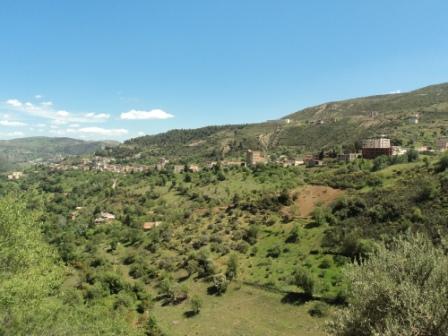 La nature  au printemps