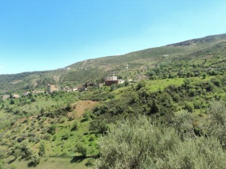 La nature  au printemps