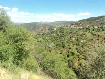 La nature  au printemps