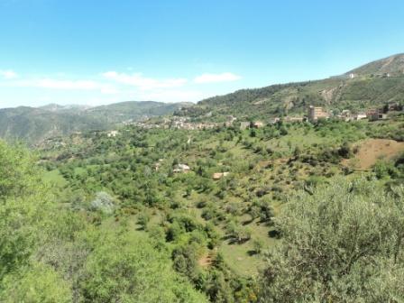 La nature  au printemps