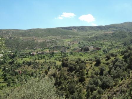 La nature  au printemps