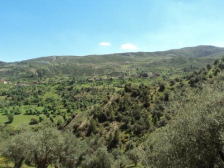 La nature  au printemps