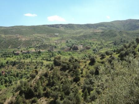 La nature  au printemps