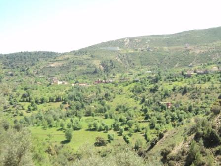 La nature  au printemps