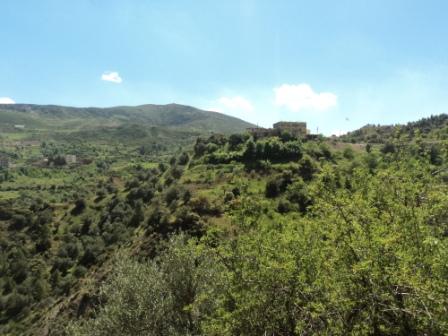 La nature  au printemps