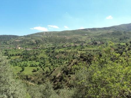 La nature  au printemps