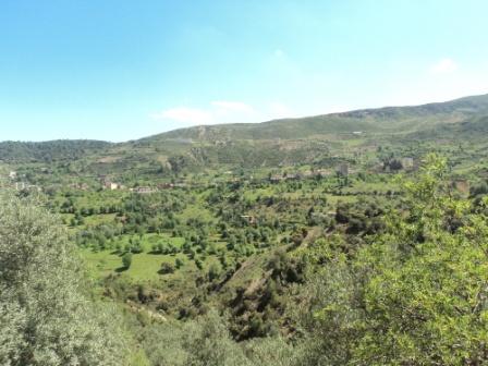 La nature  au printemps