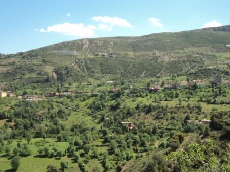 La nature  au printemps