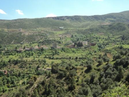 La nature  au printemps