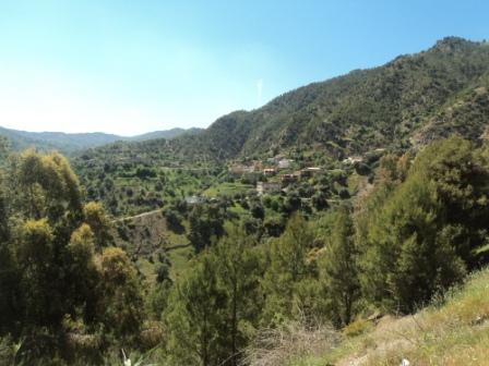 La nature  au printemps