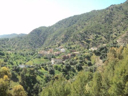 La nature  au printemps