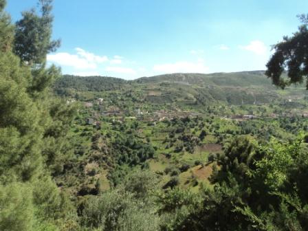 La nature  au printemps