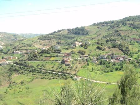 La nature  au printemps