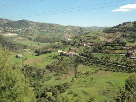 La nature  au printemps