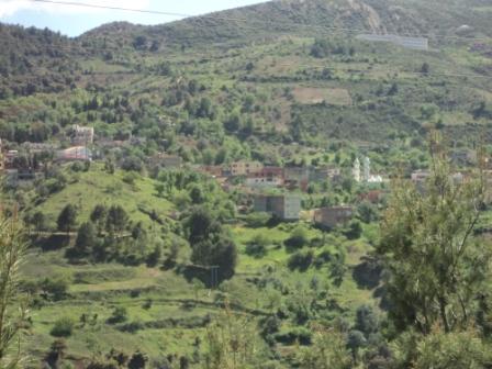 La nature  au printemps