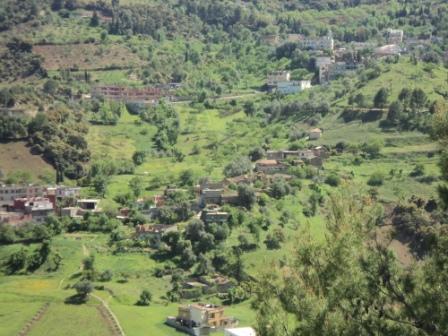 La nature  au printemps