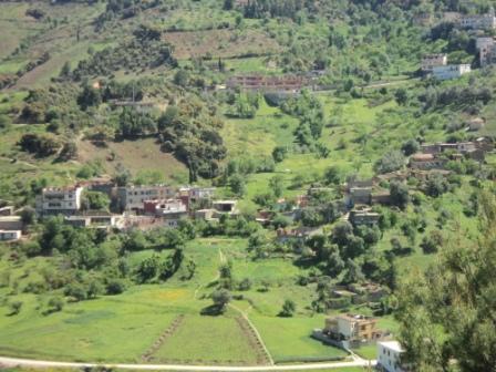 La nature  au printemps