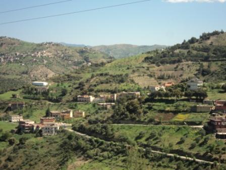 La nature  au printemps