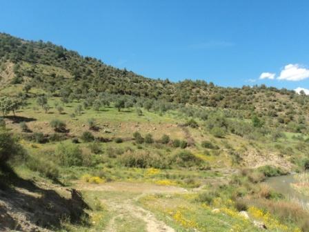 La nature  au printemps