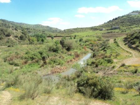 La nature  au printemps