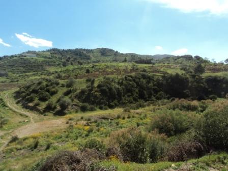 La nature  au printemps