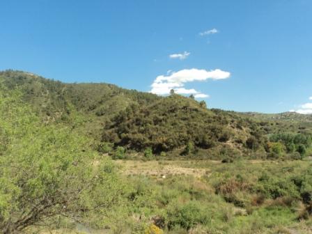 La nature  au printemps