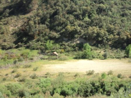 La nature  au printemps