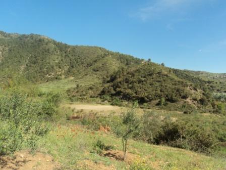 La nature  au printemps