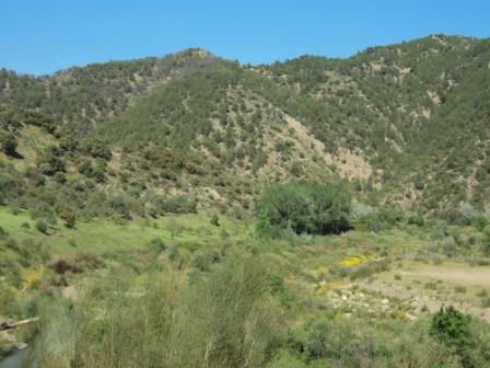 La nature  au printemps