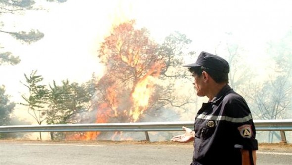 Renforcement du dispositif de prévention contre les feux de forêts à Constantine
