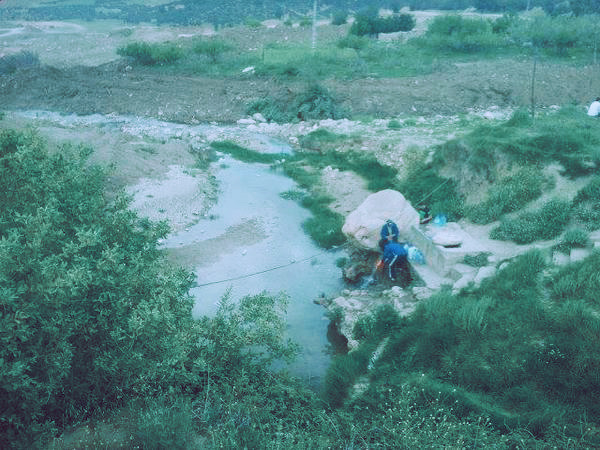 la source timizabine