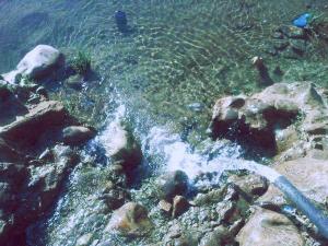 la source timizabine