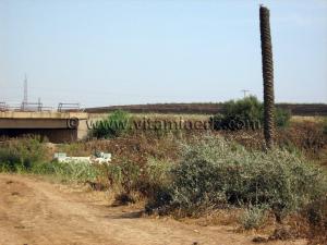 Oued El Maleh (Rio Salado), lieu supposé de la mort de Baba Arroudj