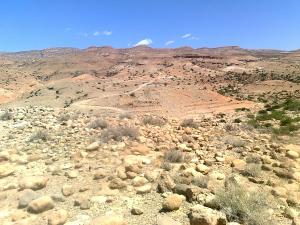 el walja el khadhra:vue panoramique !