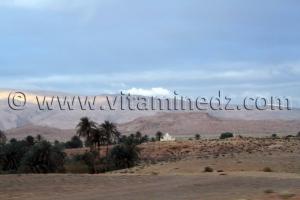 Boussemghoun et ses paysages à couper le souffre, Goubbas, Chameaux, L\'oued El Gharbi