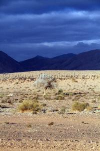 Boussemghoun et ses paysages lunaires