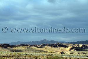 Boussemghoun et ses paysages à couper le souffre, Goubbas, Chameaux, L\'oued El Gharbi