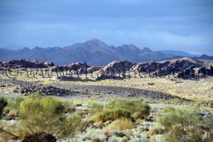 Boussemghoun et ses paysages lunaires à couper le souffle