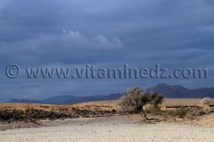 Boussemghoun et ses paysages à couper le souffle, Goubbas, Chameaux, L\'oued El Gharbi