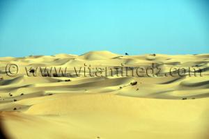 La traversée de l\'Erg Occidental sans 4X4 par la nouvelle route El Bnoud Tinerkouk, au beau milieu d\'un océan de dunes