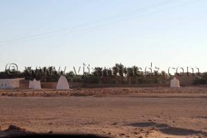 Marabouts à Sebaa - Adrar Touat