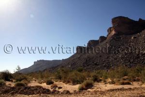 La région de Oued Arak, des canyons de roches dures creusées par le temps une vraie merveille.
