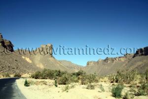 La région de Oued Arak, des canyons de roches dures creusées par le temps une vraie merveille.