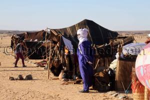 le 3ème festival du dromadaire Amni dans la région de Tit (40 Km au nord de Tamanrasset)